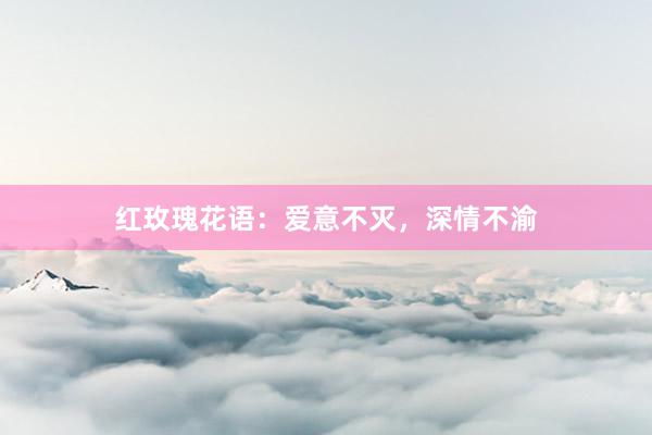 红玫瑰花语:爱意不灭,深情不渝